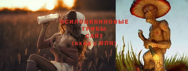 прущая мука Гусь-Хрустальный