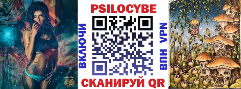 Галлюциногенные грибы Psilocybe  где продают   Новоржев 