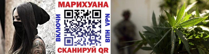 Каннабис план  Новоржев 